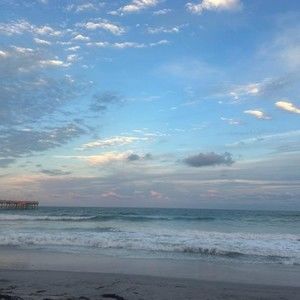 Meet your Posher, Ellie